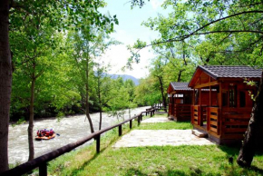 Отель Camping Noguera Pallaresa, Сорт